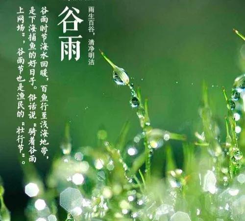 2022谷雨节气图片精选,带字高清唯美大图