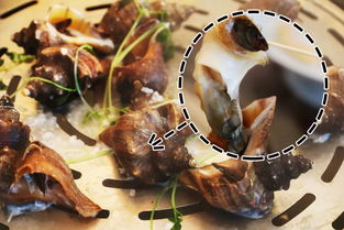 温州超人气海鲜餐厅开新店 99元的松叶蟹,瞬间 蒸 服你的胃