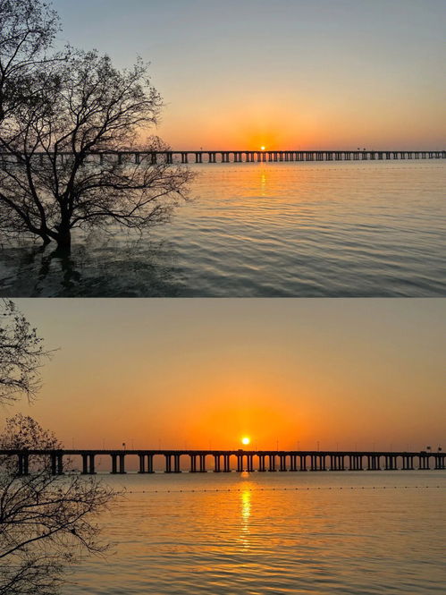 深圳西湾红树林 邂逅绝美海边日落 