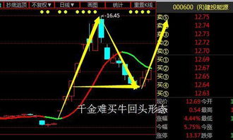 想了解一下2021雏鹰农牧的股票还能涨吗