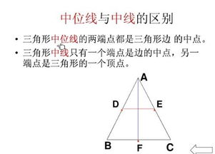 中线与中位线有什么关系