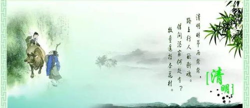 清明雨 清明泪