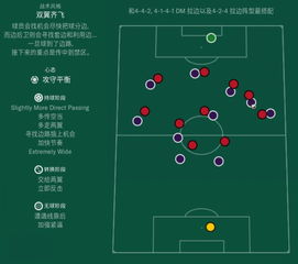 足球基本战术的分类有,足球的基本战术分为