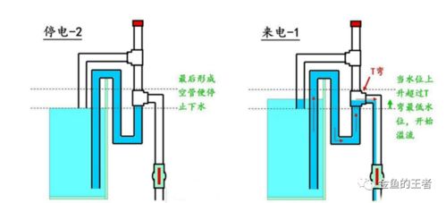 技巧 鱼缸加套这种管子,美观又好用,停电自停,来电自启 虹吸管 