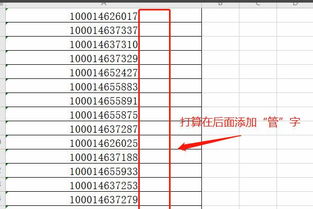 wps怎么在一列表格中增加相同的文字 