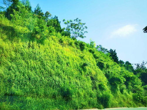 美 丰台区最西边的这个村 绿水青山变成金山银山