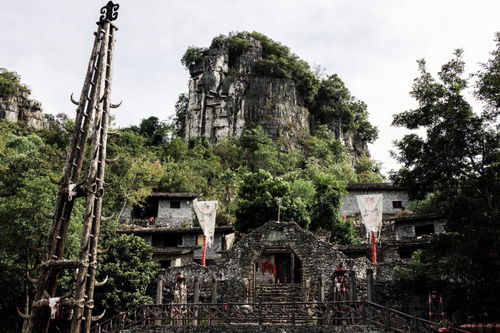 不要再去搜野景点了,安全有保障景区不香吗 