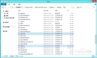 win10下安装sql版本