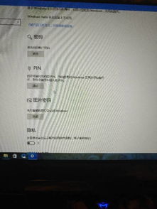 win10系统登录码不显示