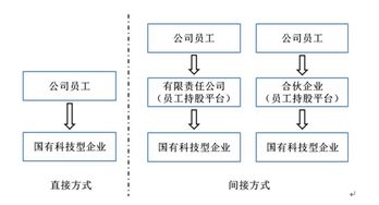 股权分红的问题？