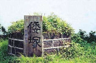 中国有一座墓,里面跪着五名日本军官,墓碑上刻了两个字 倭塚