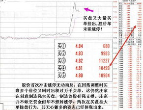 一般多少入市金额是散户，多少入市金额是庄家呢？庄家到底是干吗的?