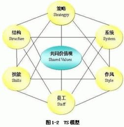 《我的前半生》藏4点销售技巧，掌握后你也能分分钟卖出奢侈品级女鞋，据说优秀销售员都会用这几招【JN SPORTS】(图3)