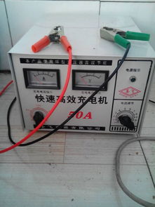 两个12V20A的电瓶并联,用多大的电流充电啊 