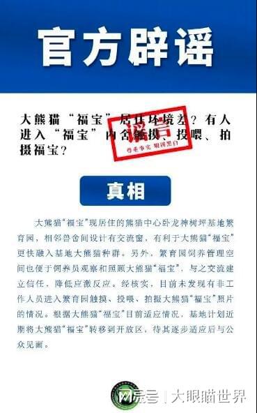 查重核心要点：查重到底在关注什么？