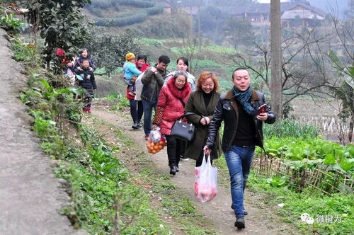 走人户 范小兵 四川邻水