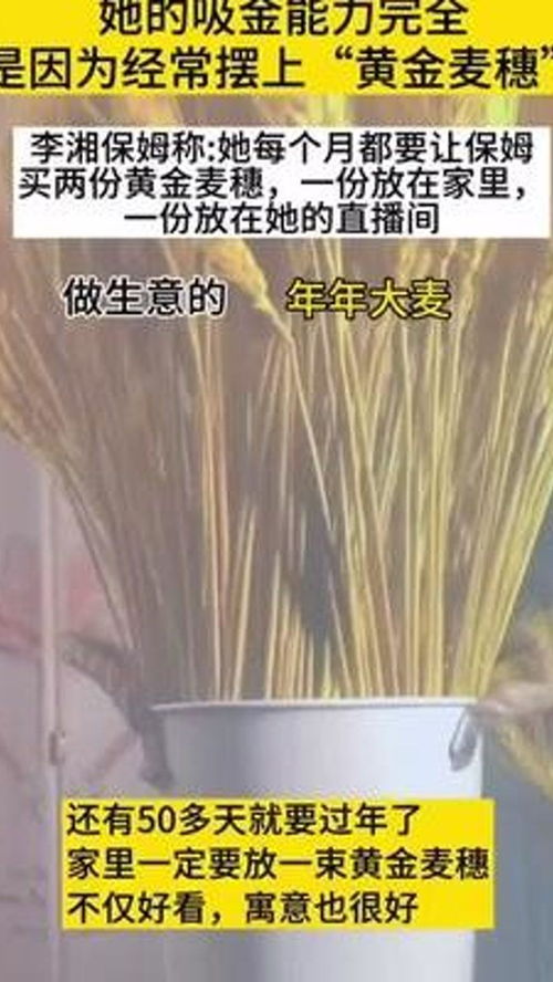 李湘 赚钱 麦穗 黄金麦穗 寓意 