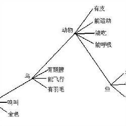 程序性知识的表征形式有