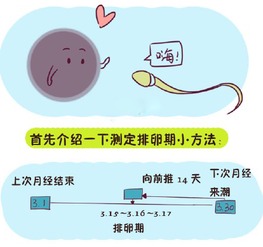 备孕技巧注意事项大全，孕前准备事项提醒app