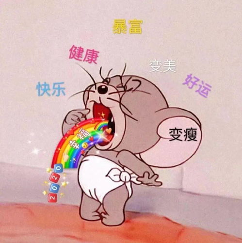 想好你的寒假怎么过了吗