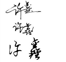 许鑫 的艺术签名怎么写漂亮呢 