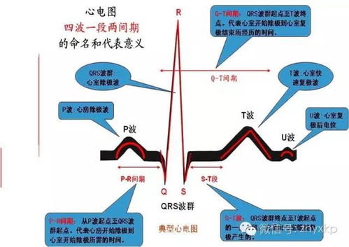 这项最便宜的检查,你做了吗