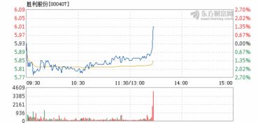 股票胜利股份今天挨手率百分之十三说明什l么