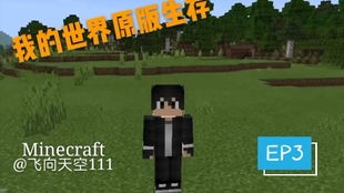 我的世界冷知识第十三期Minecraft