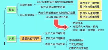 查重时长因素解析：优化查重流程，提升效率