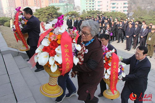 中国驻朝鲜大使馆祭奠志愿军烈士 