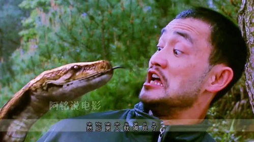 第2段 蛇咒 男人抓了一条蛇,结果悲剧发生了