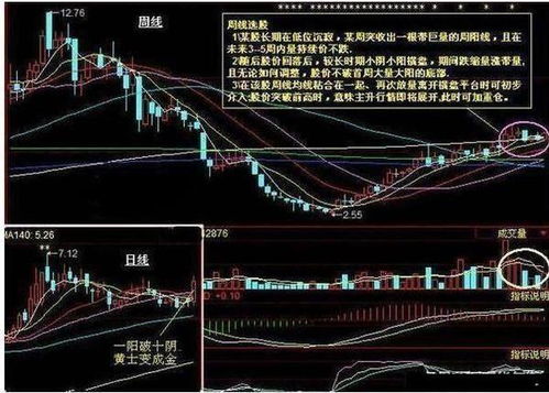 一些名人是如何选股的呢？？