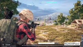 PUBG 凉了人机巨多一局下来还没有10真人