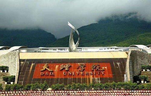 这所大学位于 风花雪月 的大理,但在全国各地的招生中属二本