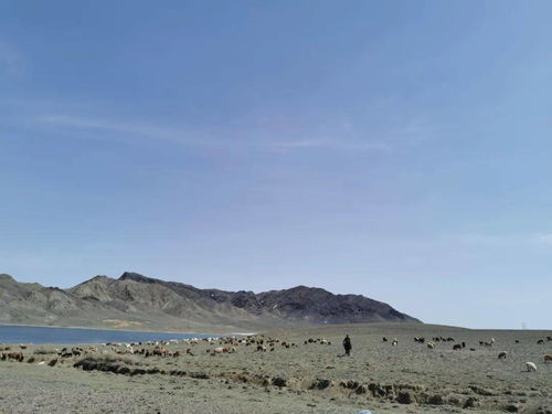 吉木乃天气预报 9月中旬打算去新疆旅游，时间为9天，有什么要注意的吗？ 