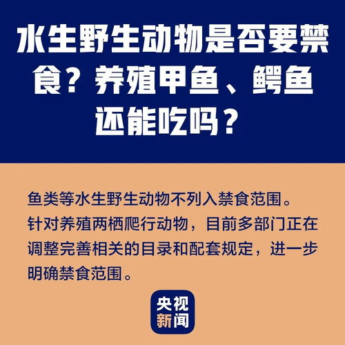 大雅查重是否包含目录？一篇文章带您全面了解