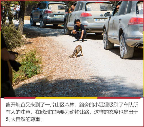 《两个人的小森林》靳希怎么出车祸了