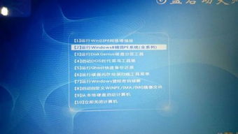 centos7安装以后到底要怎么弄,现在没有win7启动项,启动盘也使用不了,进不了pe 