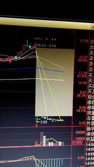 股票历史数据在哪里查找啊?