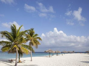 马尔代夫阿里度岛一个浪漫的度假胜地（马尔代夫啊杜）