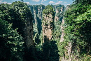 杨家界停车场免费,张家界旅游自驾游景区停车张家界哪里有车停车