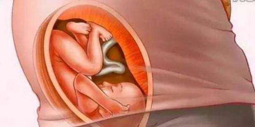 十月怀胎图(真的是怀孕10个月还是9个月)
