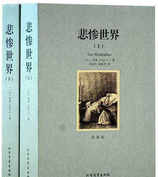 从文学价值上看 巴黎圣母院 和 悲惨世界 ,哪个更高