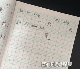 是从...开始的造句;不知道从什么起造句？