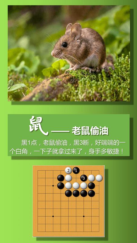 送给棋娃的礼物 十二生肖与围棋