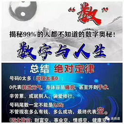 数字是如何影响到你的财富 事业 健康 家庭 婚姻的 数字文化 为你揭秘