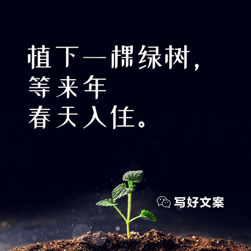 植树节创意文案20句 春风十里,正 植 有你