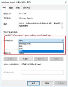 win10系统怎么关闭search