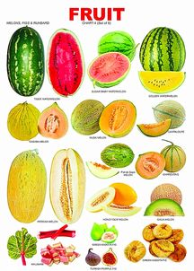 水果英语单词大全100个