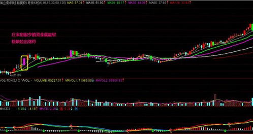 假如我锁仓了股票的分红会如期打到我账户上吗